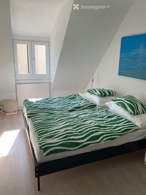 Möblierte 3-Zimmer-Wohnung in zentraler Lage Solothurn 2