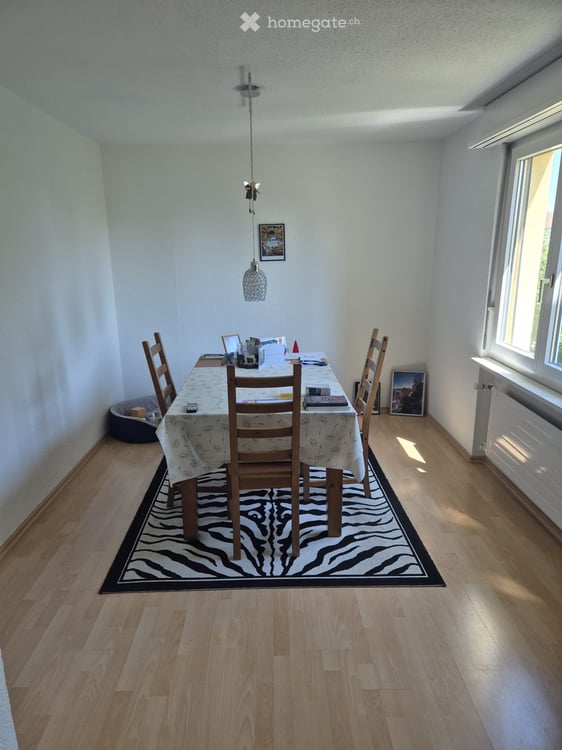 Ruhige und zentrale Wohnung mit Aussicht auf Regensberg 4