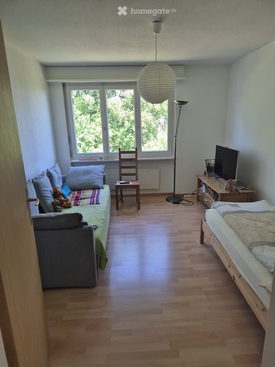 Ruhige und zentrale Wohnung mit Aussicht auf Regensberg 5