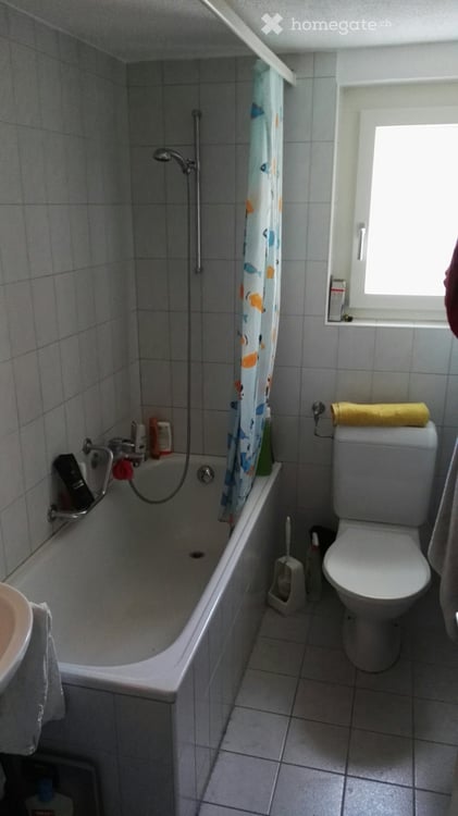 Helle 3-Zimmer-Wohnung mit Balkon und schöner Aussicht in Hausen am Albis 4