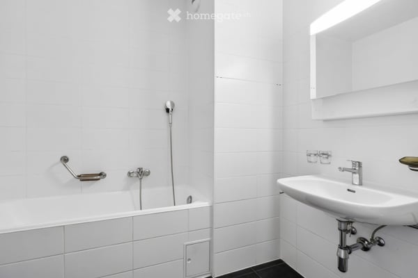 Magnifique duplex de 6 pièces avec vue panoramique à Onex 8