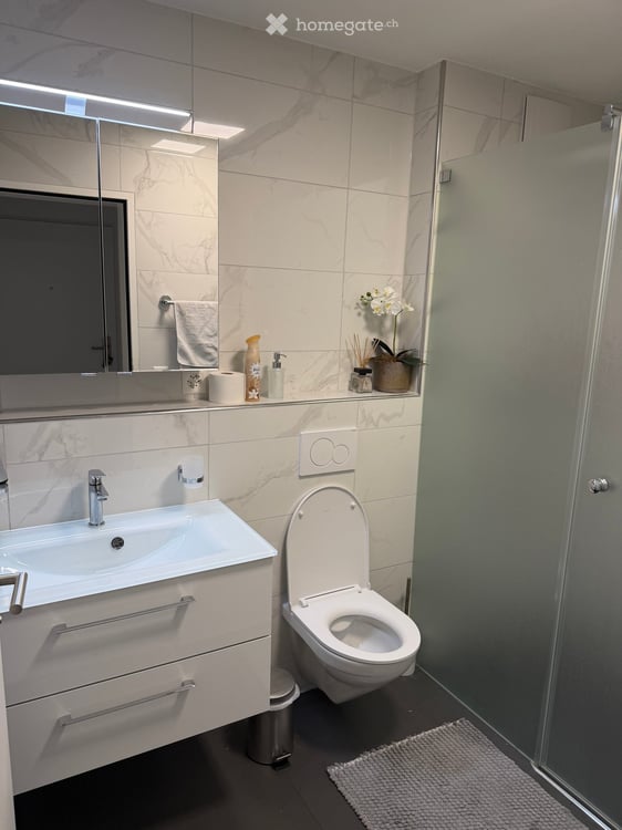 WOHNGEMEINSCHAFT 4.5-Zimmer-Wohnung mit Balkon und Garage in Regensdorf 3