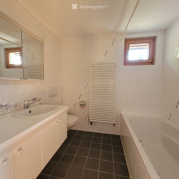 3-Zimmer-Wohnung mit Dachterrasse in Seegräben 4