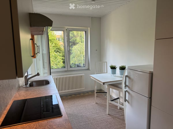 Charmante 3-Zimmer-Wohnung mit Balkon in Basel – sofort verfügbar! 7