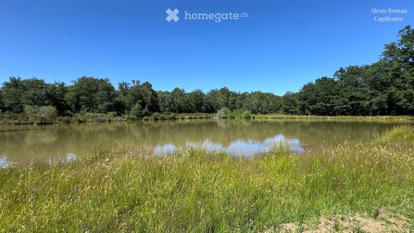 Domaine de 28 ha avec étang privé, maison, 2 gîtes et plus de 400 m² de dépendances, Dordogne, Fr 25