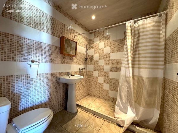 Domaine de 28 ha avec étang privé, maison, 2 gîtes et plus de 400 m² de dépendances, Dordogne, Fr 16