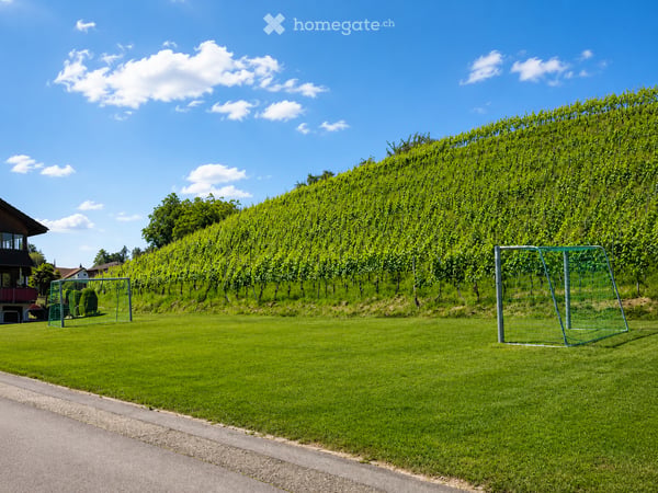 Familientraum in Jona mit riesigem Garten direkt bei den Rebbergen 16