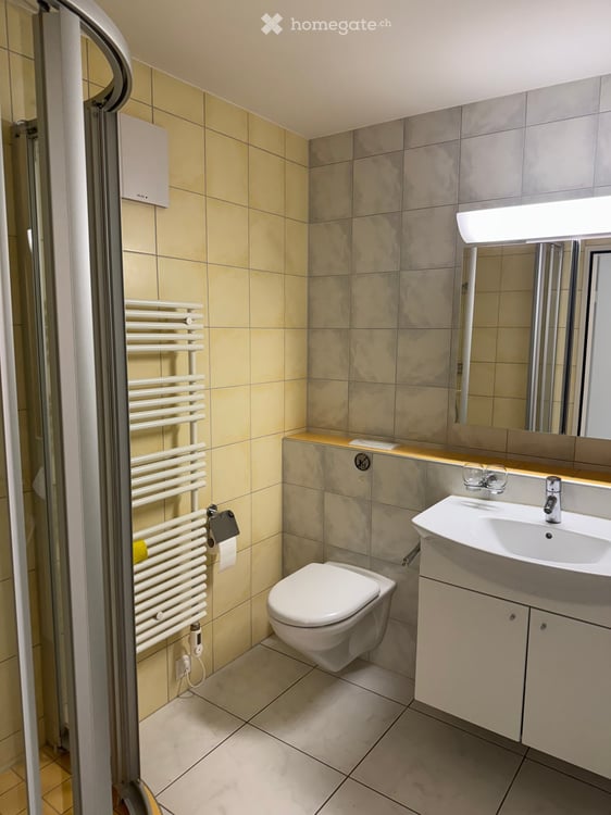 Charmante 3-Zimmer-Wohnung mit Balkon und schöner Aussicht in Reinach BL 5