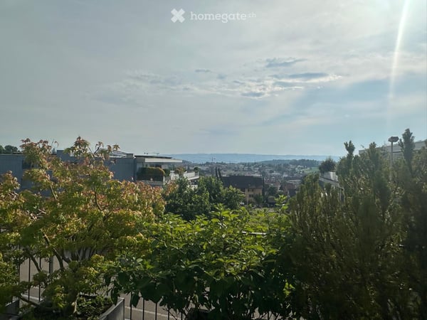 Moderne 4.5-Zimmer-Terrassenwohnung in Affoltern am Albis – Sofort verfügbar 4