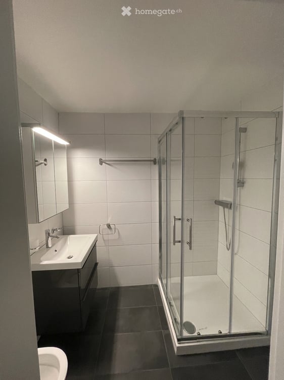 Charmant appartement de 3,5 pièces avec balcon et vue à Moudon 5