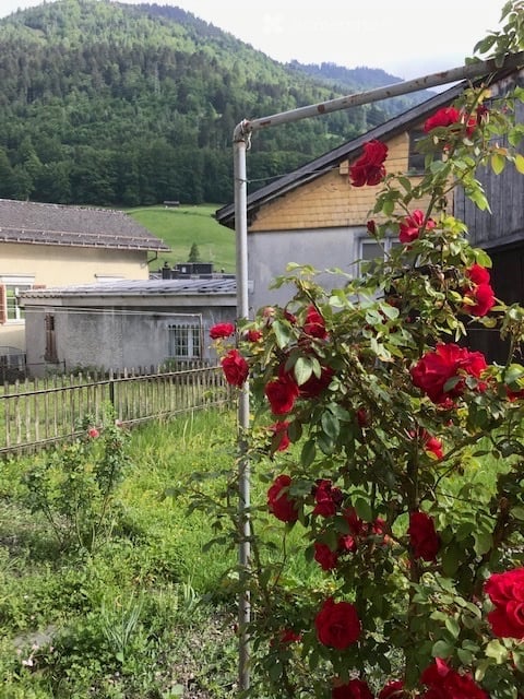 Charming 4-Room Half-House with Mountain Views in Schwanden GL 4