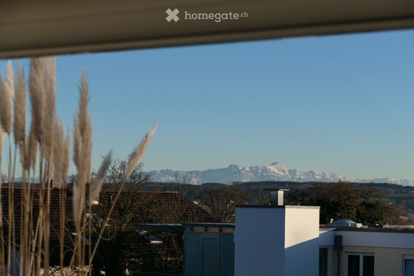Penthouse-Feeling mit sensationeller Dachterrasse und einzigartigem Mix aus See-und Alpenblick 9