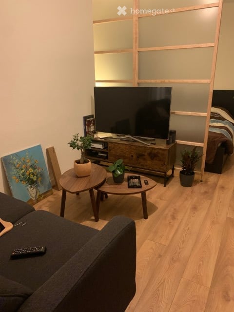 Reprise de bail – Charmant 2 pièces avec grande terrasse CHF 1530/mois + Charges 4