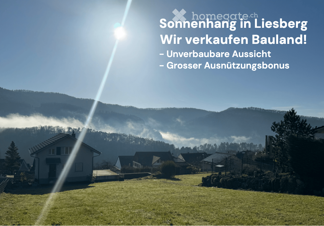 A serene outdoor scene featuring a grassy field with a few houses, surrounded by misty mountains under a bright sun.