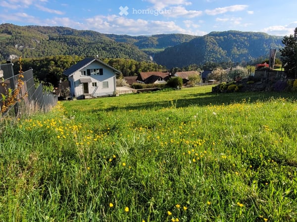 Bauland mit unverbaubarer Aussicht und Zusatz Ausnützungsziffer (insgesamt 266 m2) 4