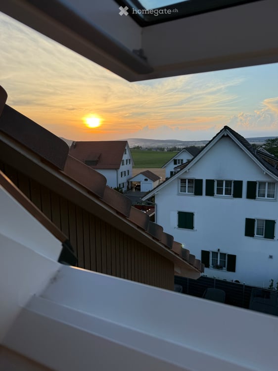 Helle Dachwohnung mit grossem Balkon und moderner Ausstattung 5