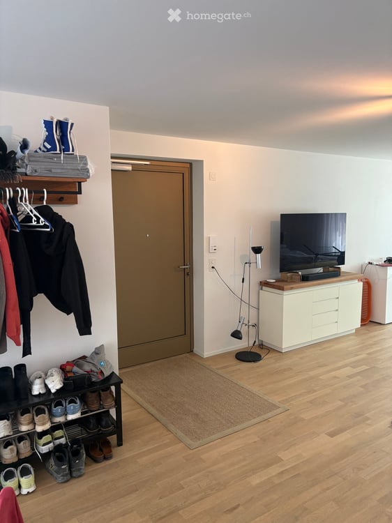 Moderne 1-Zimmer-Neubauwohnung an der Birmensdorferstrasse in Zürich-Albisrieden 5