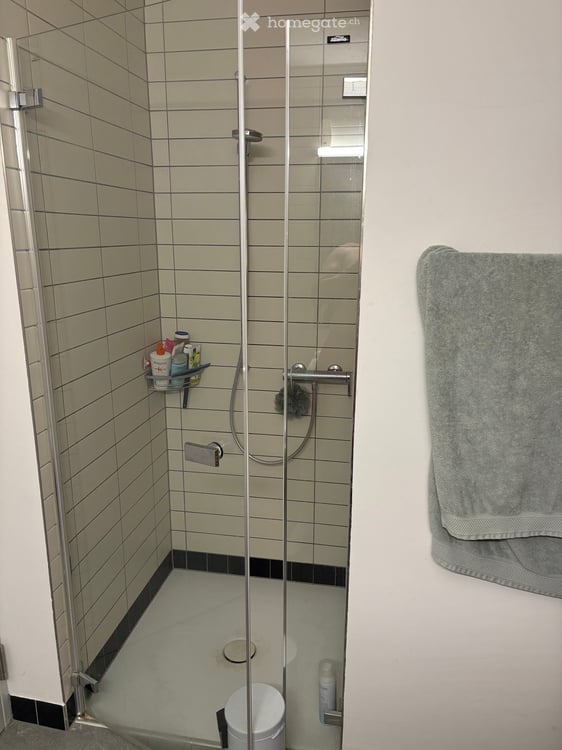 Moderne 1-Zimmer-Neubauwohnung an der Birmensdorferstrasse in Zürich-Albisrieden 8