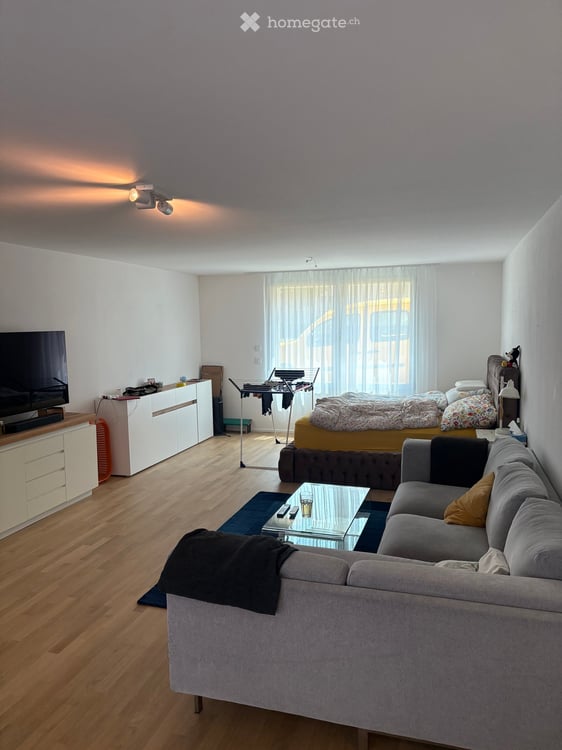 Moderne 1-Zimmer-Neubauwohnung an der Birmensdorferstrasse in Zürich-Albisrieden 6