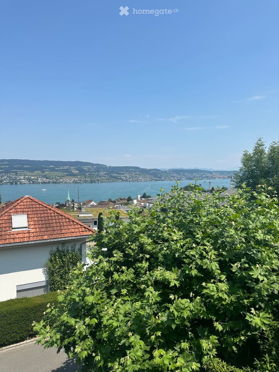 Rarität ! - Charmantes 6.5-Zimmer-Einfamilienhaus mit Seeblick in Horgen – ab 01.11.2026 7