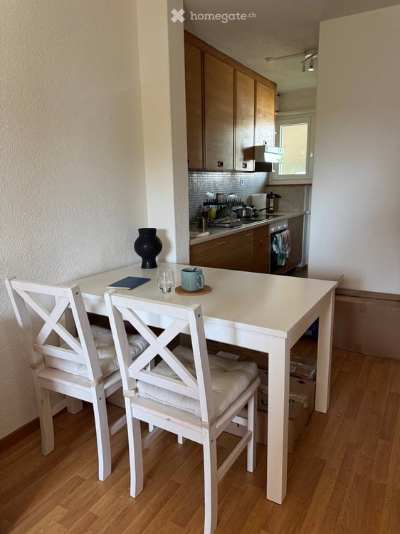 1-Room Apartment with Balcony in Zürich Friesenberg 2