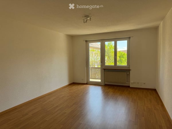 1-Room Apartment with Balcony in Zürich Friesenberg 5
