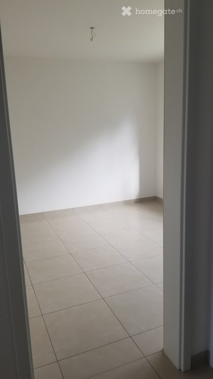 Helle 4.5-Zimmer-Wohnung mit Terrasse und Kamin in Russikon 4