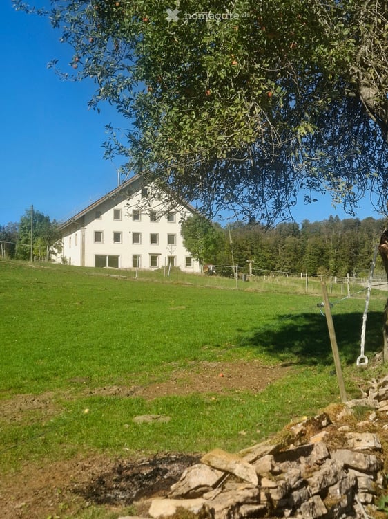 Appartement neuf en pleine nature des Franches-Montagnes 6