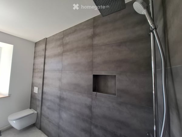Appartements neufs en pleine nature des Franches-Montagnes 7