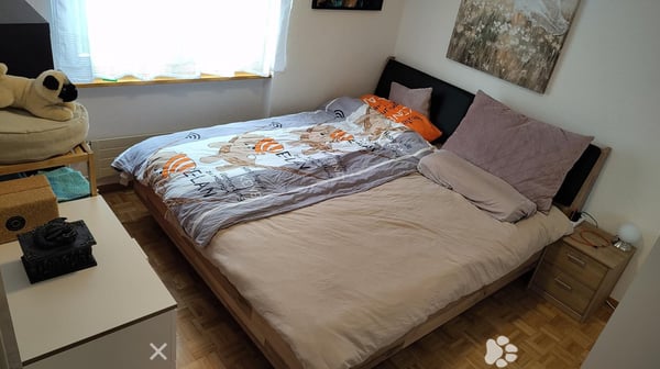 Charmante 2.5-Zimmer-Terrassenwohnung an der Bahnhofstrasse in Interlaken 2