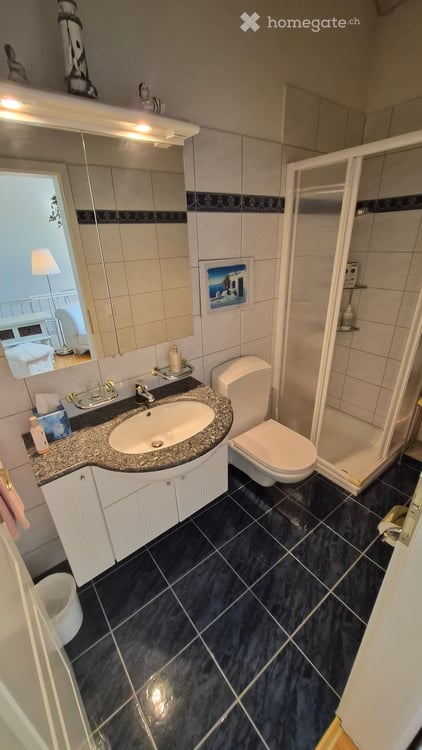 Charmante 4.5-Zimmer-Maisonette-Wohnung mit Gallerie und seitlichem Seeblick in Willerzell 17