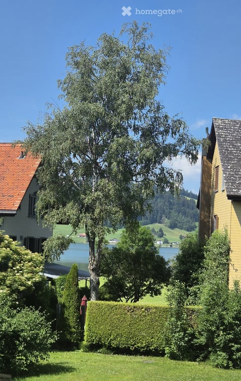 Charmante 4.5-Zimmer-Maisonette-Wohnung mit Gallerie und seitlichem Seeblick in Willerzell 9