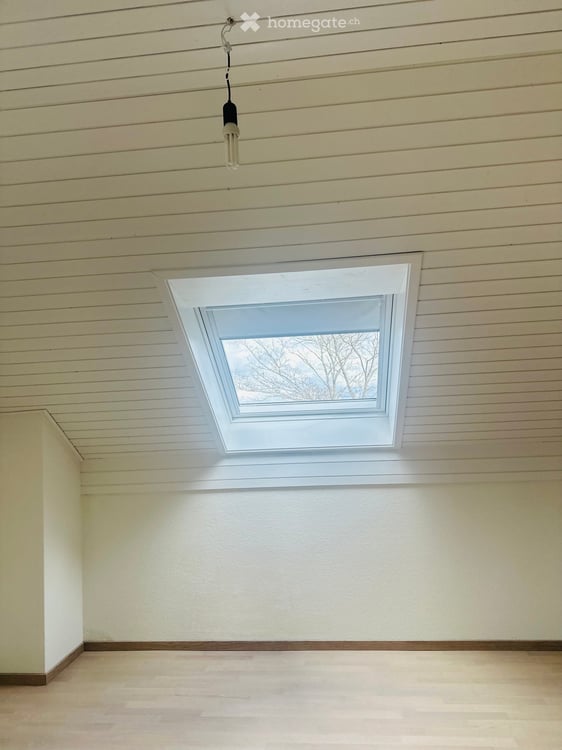Charmantes 5-Zimmer-Reihenhaus in Allschwil mit Garage und Balkon 2