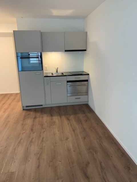 Modern kitchen with light grey cabinets, stainless steel appliances, and wooden flooring.