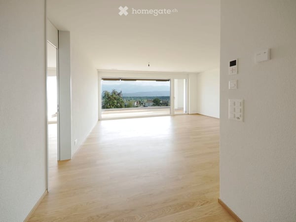 Grosszügige 1.5-Zimmer-Erdgeschosswohnung 3