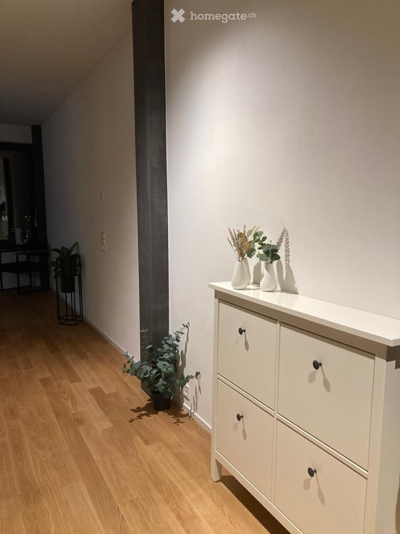 Möbliertes 1.5-Zimmer-Apartment im 19. Stock am Brown Boveri Platz, Baden 7