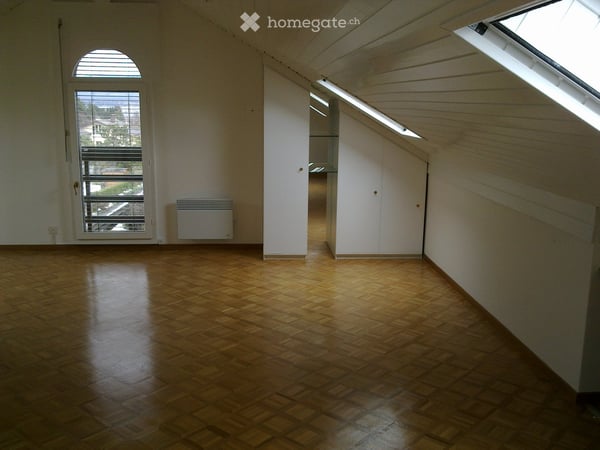 Beautiful house for rent in Coppet 4