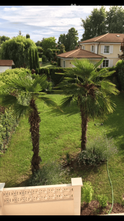 Beautiful house for rent in Coppet 8