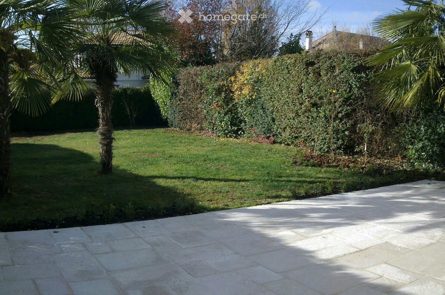 Well-maintained garden with a paved patio, green lawn, palm trees, and surrounding bushes and shrubs.