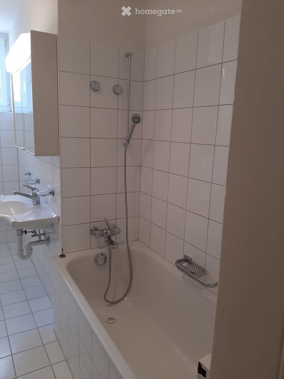 Charmante 4 Zimmer-Wohnung in Zürich 10
