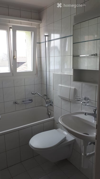 Charmante 1-Zimmer-Dachwohnung in Windisch 5