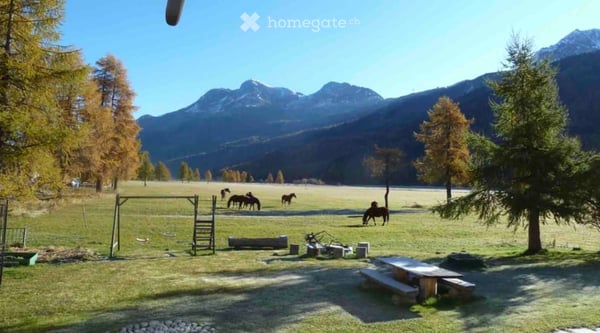 1-Zimmer mit Bad - im wunderschönen Sils im Engadin. Renoviert und komplett möbliert.*** 14
