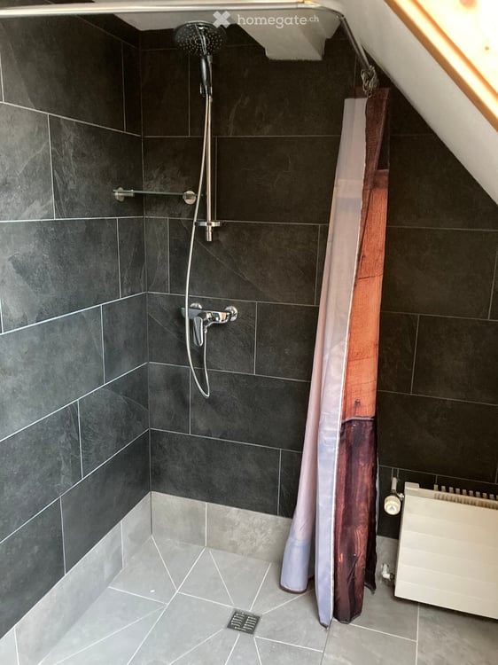 6.5 Zimmer Hausteil mit Aussenbereich 13