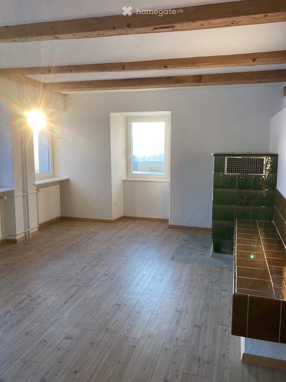6.5 Zimmer Hausteil mit Aussenbereich 2