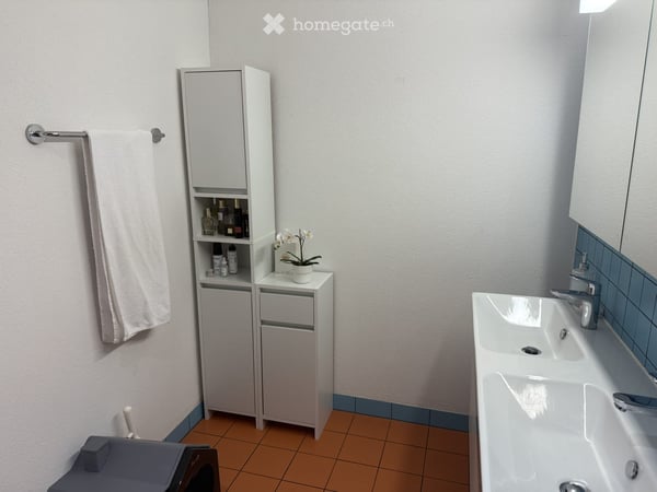 Nachmieter gesucht – attraktive und grosszügige 3.5-Zimmer-Wohnung in Dübendorf Hochbord 10