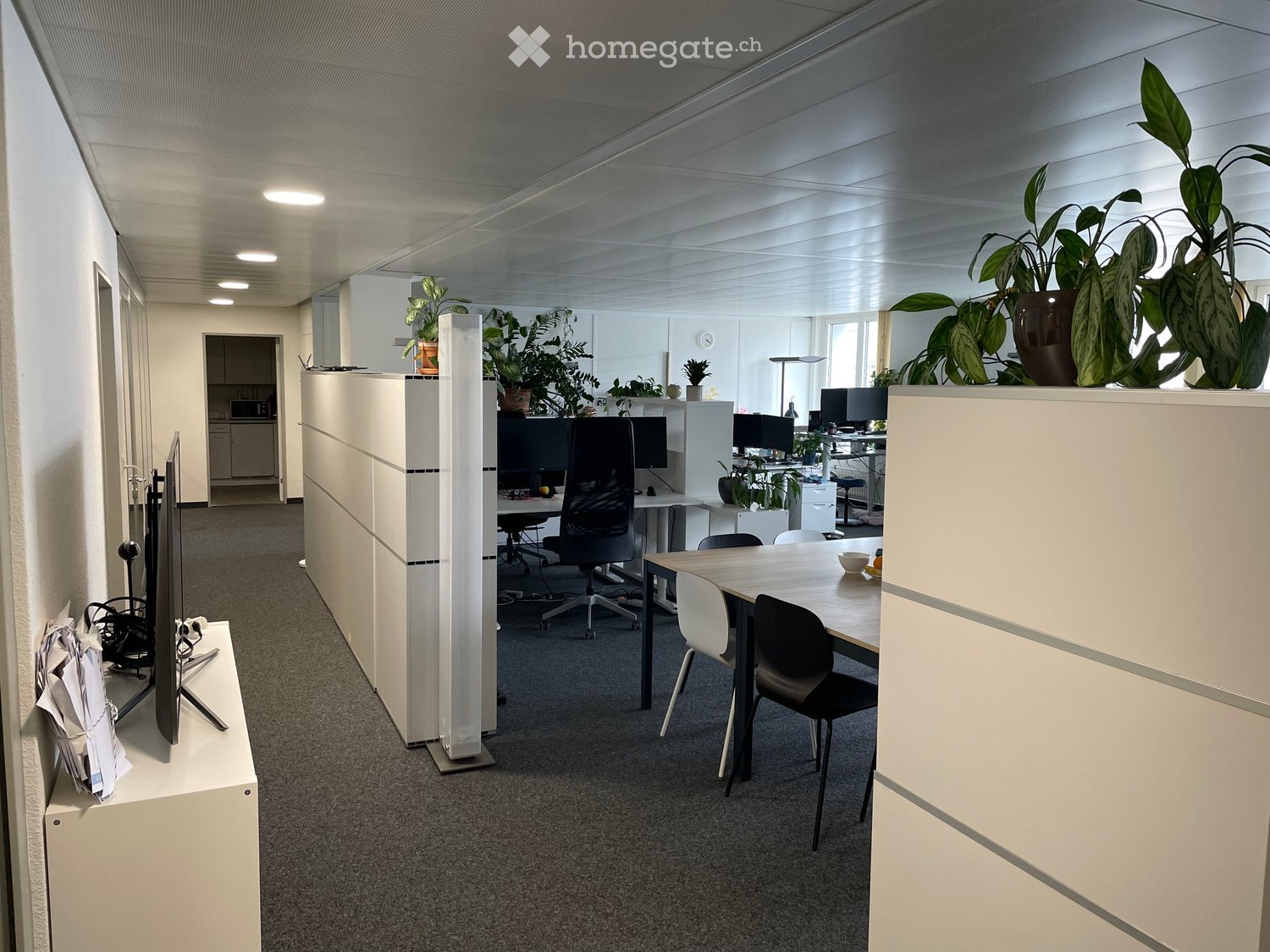 Furnished Room. Modern office space with white partition walls, desks, chairs, multiple screens, and potted plants.