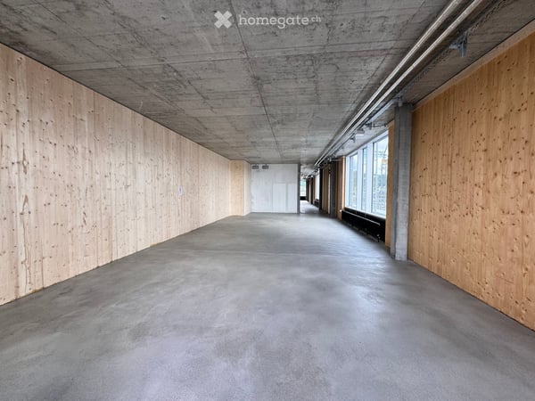 Büro über den Dächern Zürichs (mit Dachterrasse) 3