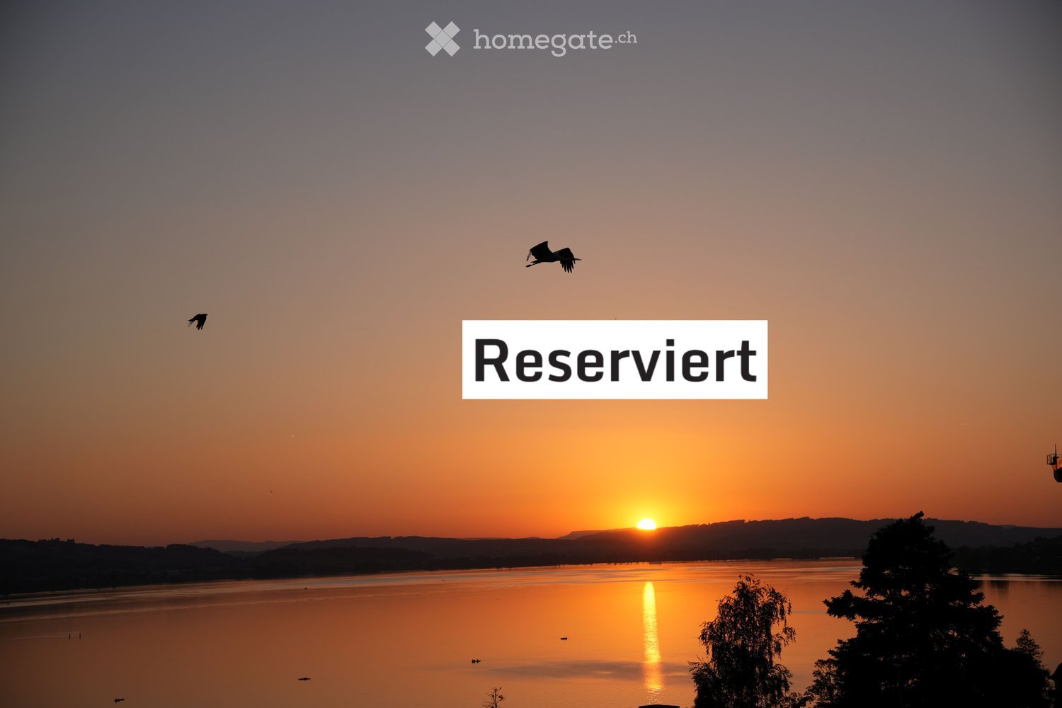 A serene sunset over a calm lake, with birds flying in the sky and a text overlay reading "Reserviert" (Reserved).