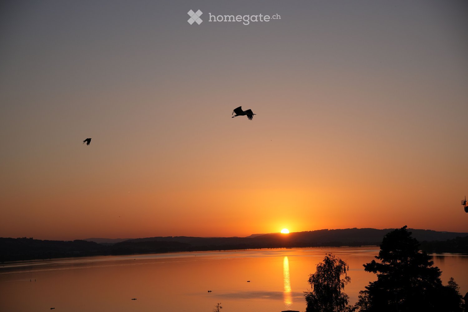 A serene sunset over a calm lake, with birds flying in the sky and a reflection of the sun on the water.