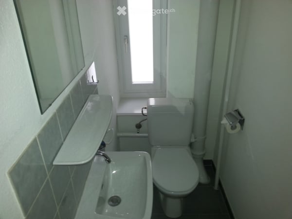 Gelegenheit, nähe HB, renovierte, grosszügige 5.5-Zimmer-Altbauwohnung mit Balkon in St. Gallen. 7